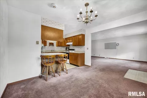 Other - 1215 E Sycamore St, Canton, IL 61520 photo 2 of 5