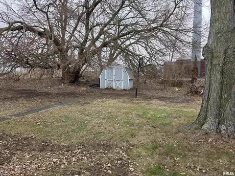 Exterior - 608 S Pine St, Delavan, IL 61734 photo 4 of 5