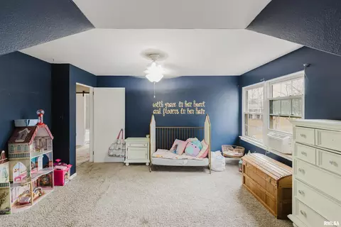1819 Pace Ave, Mount Vernon, IL 62864 photo 23