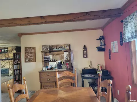 2400 Springfield Rd, Delavan, IL 61734 photo 7