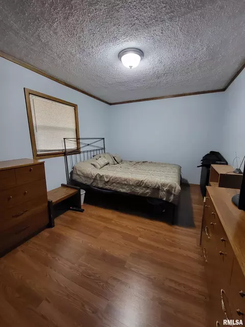 2400 Springfield Rd, Delavan, IL 61734 photo 16