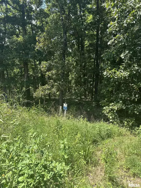 00 Hawthorne Pt, Goreville, IL 62939