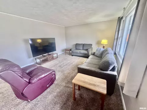 Living - 404 E Carter St, Marion, IL 62959 photo 1 of 3