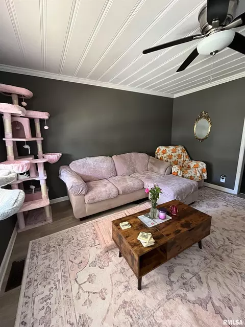 Living - 421 N 21st St, Herrin, IL 62948 photo 1 of 1