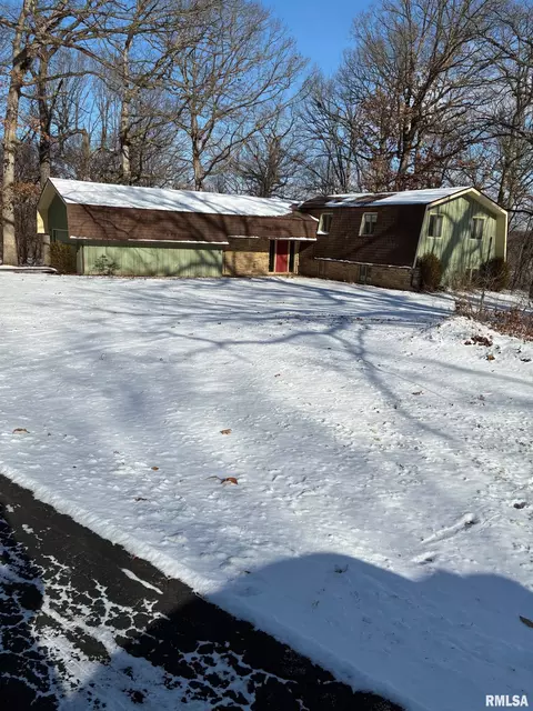 11421 N Pauli Rd, Dunlap, IL 61525
