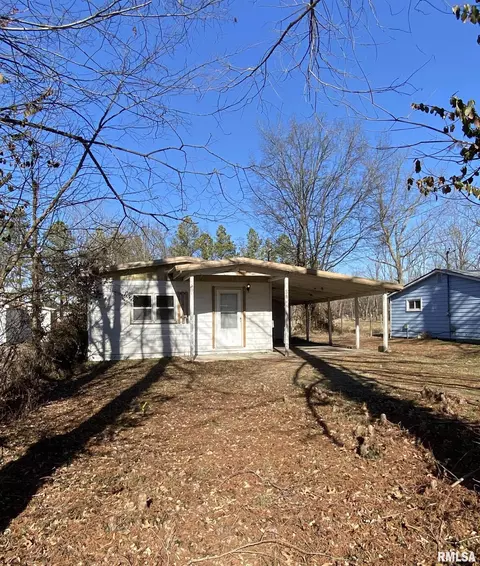 Other - 313 E Webster St, Herrin, IL 62948 photo 1 of 9