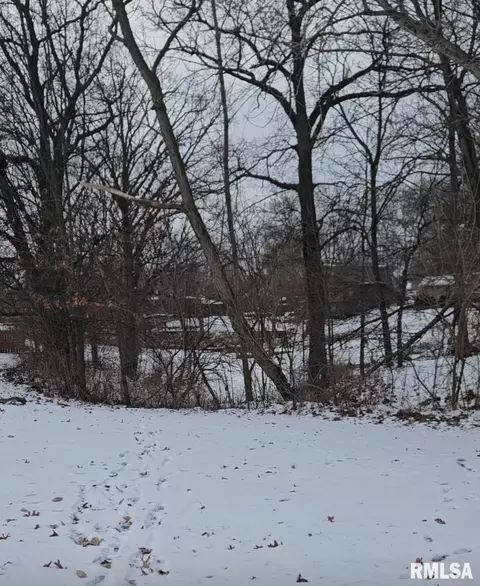 lot430 S Newcastle Ct, Mapleton, IL 61547 photo 4