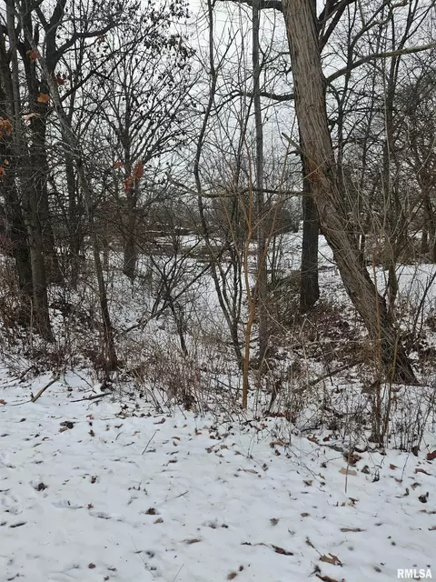 lot430 S Newcastle Ct, Mapleton, IL 61547 photo 3
