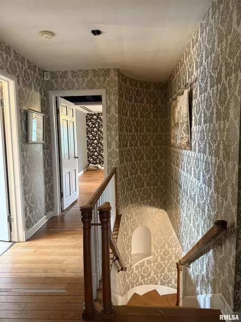 Entry Way - 215 3rd St, Carmi, IL 62821 photo 3 of 4