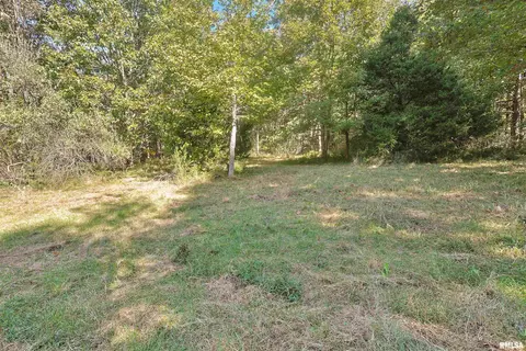 00 Winstead Rd, Cobden, IL 62920 photo 13
