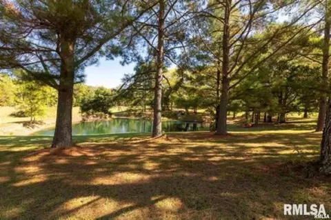 00 Dylan Dr, Marion, IL 62959 photo 5