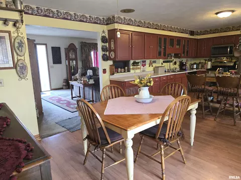 30772 E County Road 2400 N Rd, Manito, IL 61546 photo 9