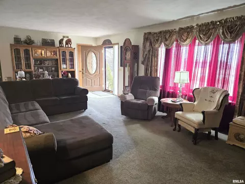 30772 E County Road 2400 N Rd, Manito, IL 61546 photo 4