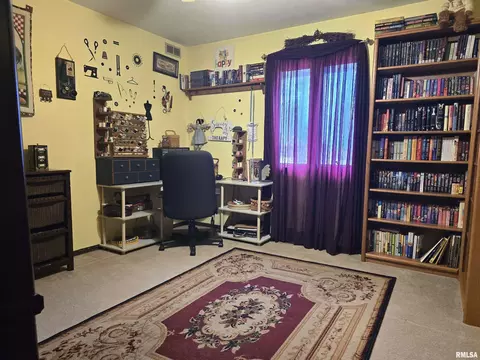 30772 E County Road 2400 N Rd, Manito, IL 61546 photo 22