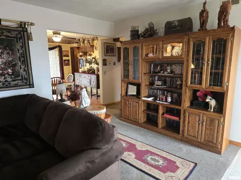 30772 E County Road 2400 N Rd, Manito, IL 61546 photo 8