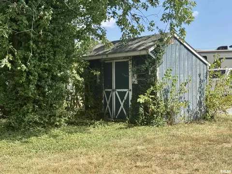 Exterior - 212 W Sylvia Ave, Christopher, IL 62822 photo 8 of 8