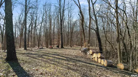 Exterior - 265 Moss Ln, Anna, IL 62906 photo 8 of 9