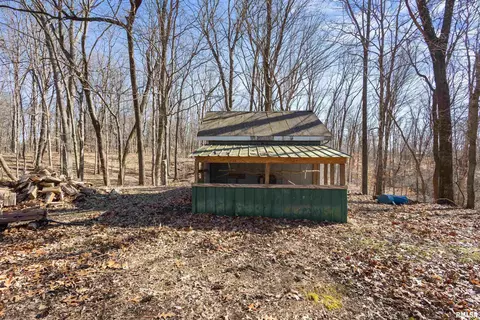 Exterior - 265 Moss Ln, Anna, IL 62906 photo 3 of 9