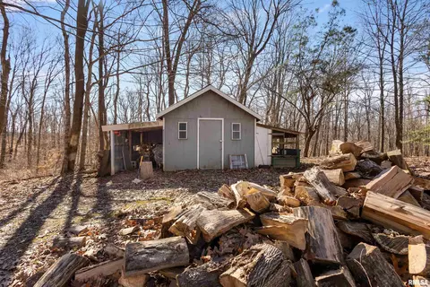 Exterior - 265 Moss Ln, Anna, IL 62906 photo 2 of 9