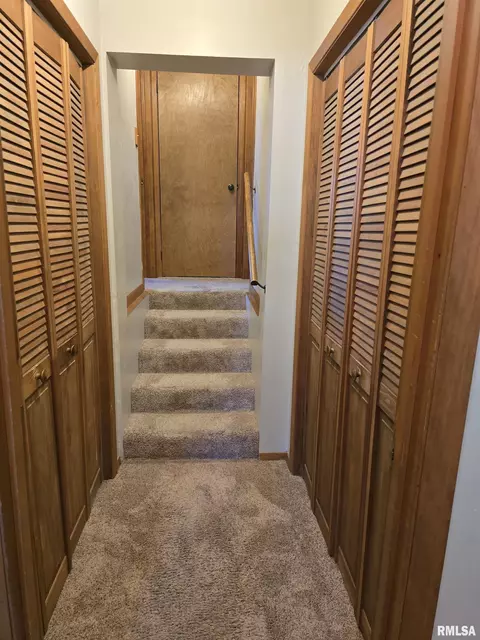 Entry Way - 1410 E Locust St, Canton, IL 61520 photo 4 of 4