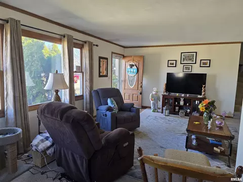 Other - 1410 E Locust St, Canton, IL 61520 photo 2 of 12