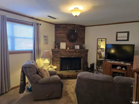 Living - 1410 E Locust St, Canton, IL 61520 photo 6 of 8
