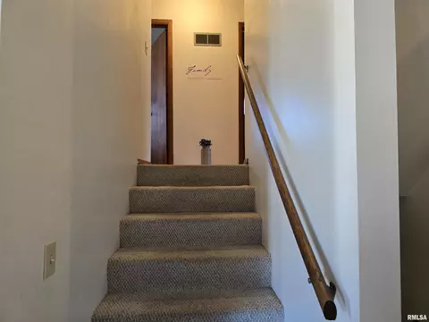 Entry Way - 1410 E Locust St, Canton, IL 61520 photo 3 of 4
