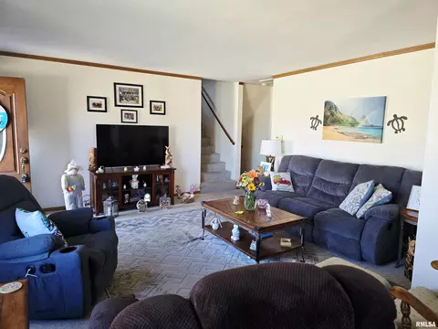 Living - 1410 E Locust St, Canton, IL 61520 photo 4 of 8