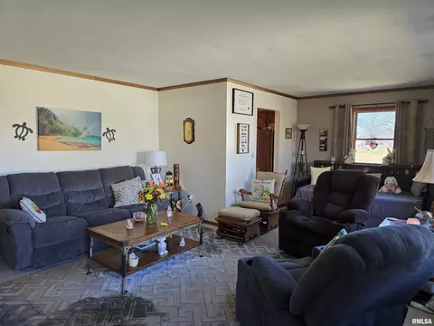 Living - 1410 E Locust St, Canton, IL 61520 photo 2 of 8
