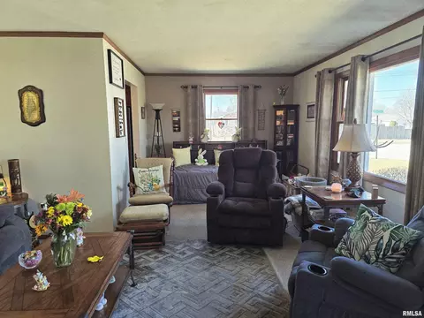 Living - 1410 E Locust St, Canton, IL 61520 photo 3 of 8