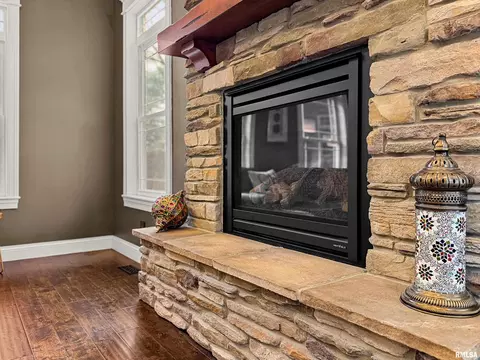 Other - 1017 S Copperpoint Dr, Dunlap, IL 61525 photo 4 of 20