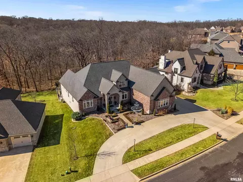 View/Area - 1017 S Copperpoint Dr, Dunlap, IL 61525 photo 2 of 4