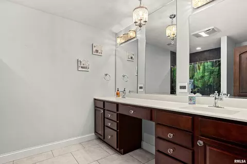 Bath - 1017 S Copperpoint Dr, Dunlap, IL 61525 photo 7 of 8