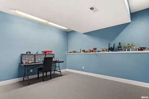 Other - 1017 S Copperpoint Dr, Dunlap, IL 61525 photo 18 of 20