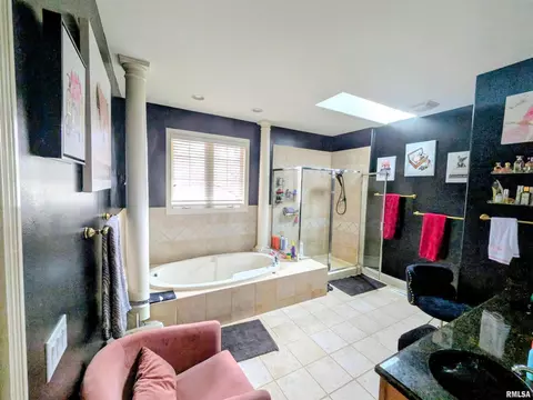 Bath - 703 Mayfair Ct, Germantown Hills, IL 61548 photo 3 of 4