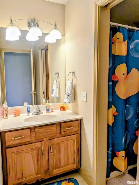 Bath - 703 Mayfair Ct, Germantown Hills, IL 61548 photo 4 of 4