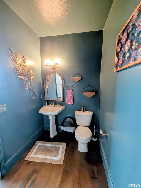 Bath - 703 Mayfair Ct, Germantown Hills, IL 61548 photo 1 of 4