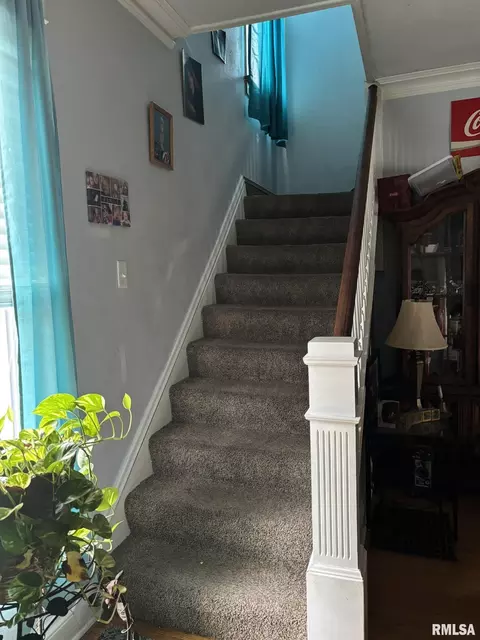 Entry Way - 506 Elm St, Canton, IL 61520 photo 3 of 6