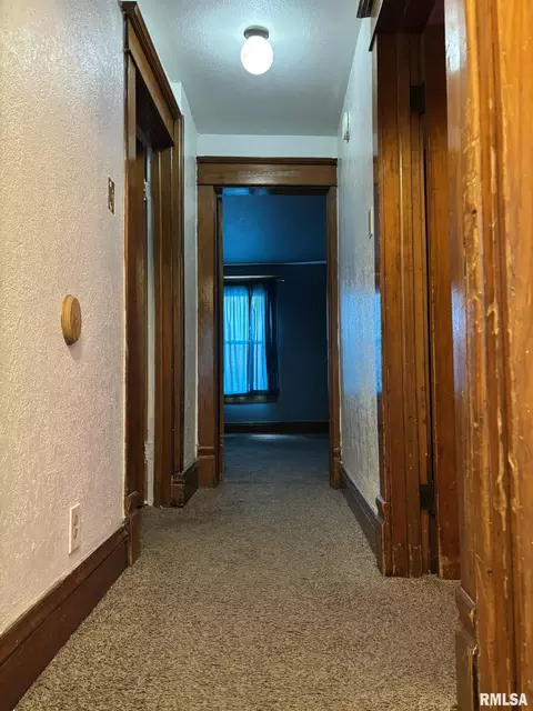 Entry Way - 506 Elm St, Canton, IL 61520 photo 4 of 6