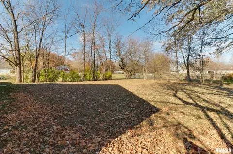 Exterior - 607 E 2nd St, Delavan, IL 61734 photo 6 of 6