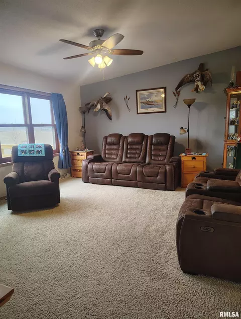 Living - 15701 E Highway 9, Canton, IL 61520 photo 3 of 4