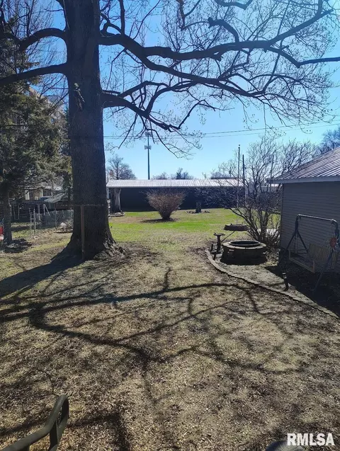 Exterior - 36 E Olive St, Canton, IL 61520 photo 5 of 8