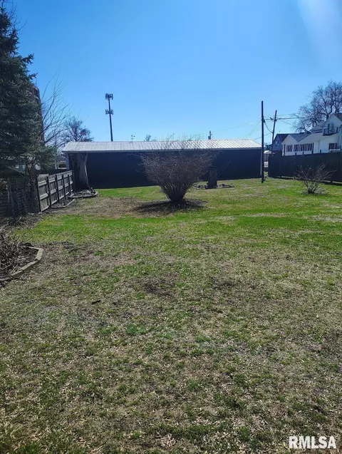 Exterior - 36 E Olive St, Canton, IL 61520 photo 7 of 8