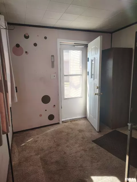 Other - 36 E Olive St, Canton, IL 61520 photo 5 of 9