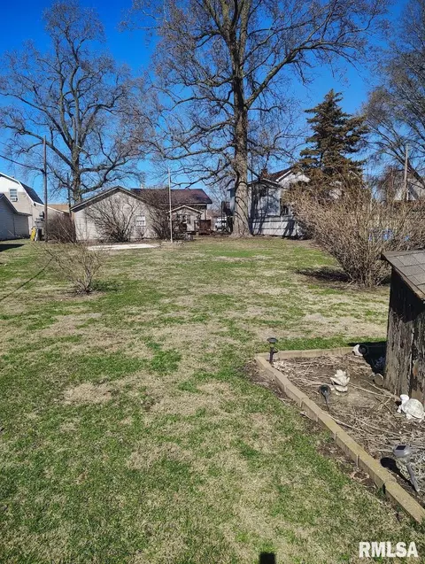 Exterior - 36 E Olive St, Canton, IL 61520 photo 8 of 8