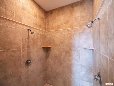 Bath - 2422 W Augusta Dr, Dunlap, IL 61525 photo 3 of 8