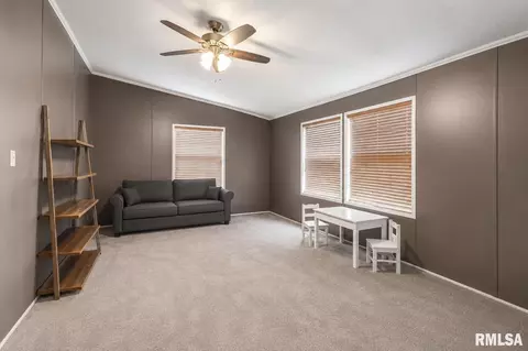 Other - 101 E Knauer St, Ava, IL 62907 photo 4 of 11