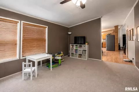 Living - 101 E Knauer St, Ava, IL 62907 photo 2 of 2