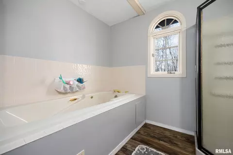Bath - 603 E Swords Dr, Edelstein, IL 61526 photo 2 of 3