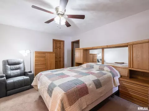 133 E Miller Rd, Edelstein, IL 61526 photo 28